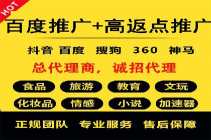 实战经验：竞价推广公司成功案例解析